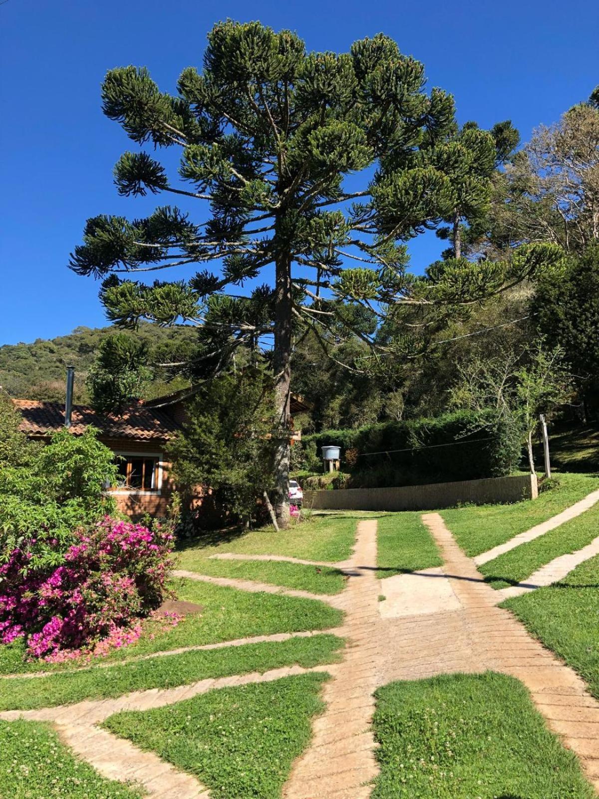 Sitio Rosa De Minas Villa Gonçalves Exteriör bild