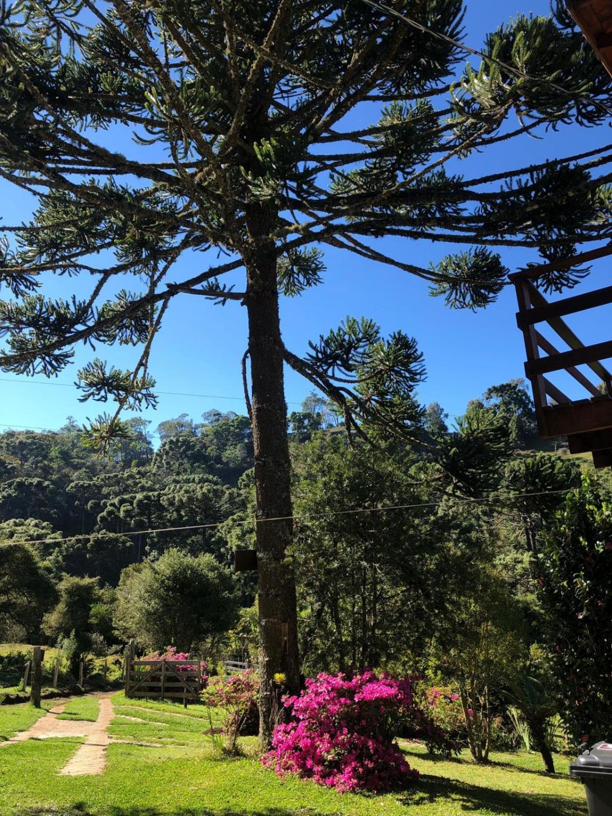 Sitio Rosa De Minas Villa Gonçalves Exteriör bild